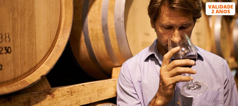 Curso de Vinho Nível I com Jantar | Lisboa, Porto ou Coimbra | Enóphilo