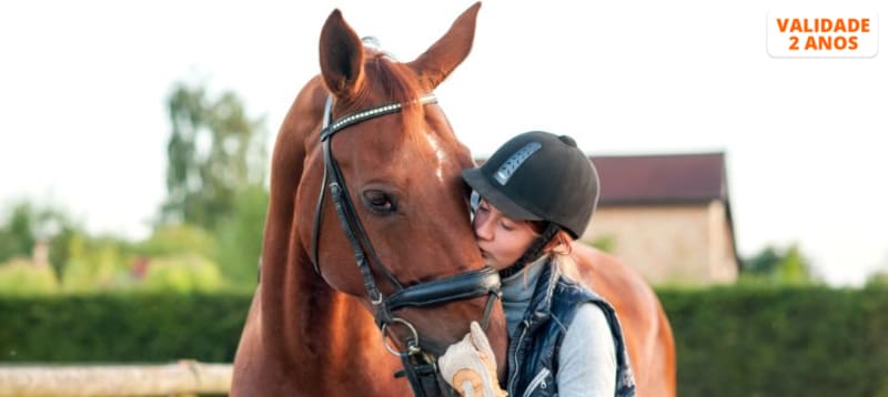 1 ou 3 Meses de Aulas de Equitação | Póvoa de Varzim - 30 Minutos