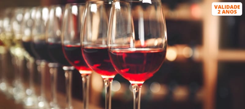 Curso de Vinhos - Aprender a Prová-los Sem Dúvidas | Porto