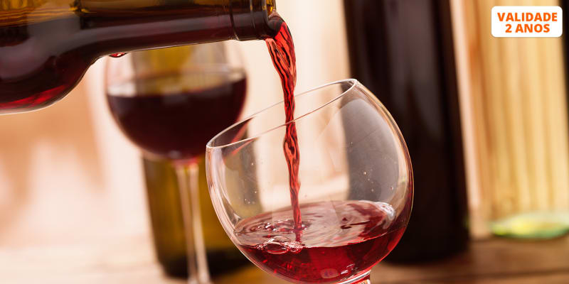 Workshop de Vinhos Ervideira | Saber e Sabor em 3 Horas