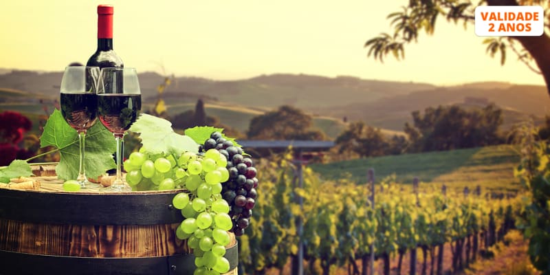 Visita à Adega + Prova de Vinhos c/ Degustação de Produtos Regionais | Casa Agrícola Nicolau - Lisboa
