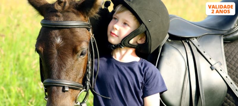 Baptismo de Cavalo Pais e Filhos | 45 Minutos | O Melhor Presente!