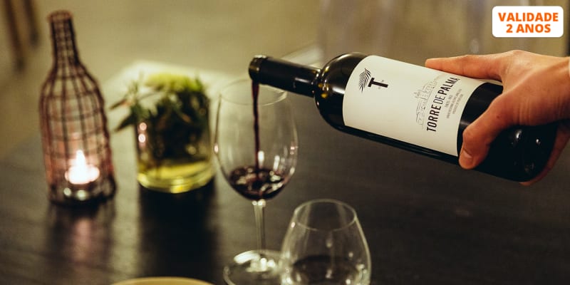 Visita à Adega Torre de Palma e Prova de Vinhos para Dois | Portalegre