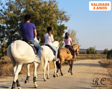Passeio a Cavalo na Golegã | 1 Hora na Natureza para 1 ou 2 Pessoas