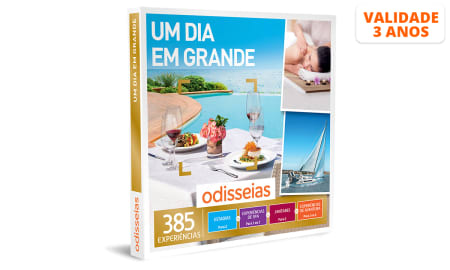 Um Dia em Grande | 385 Experiências
