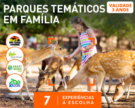 Parques Temáticos em Família | 7 Experiências à Escolha
