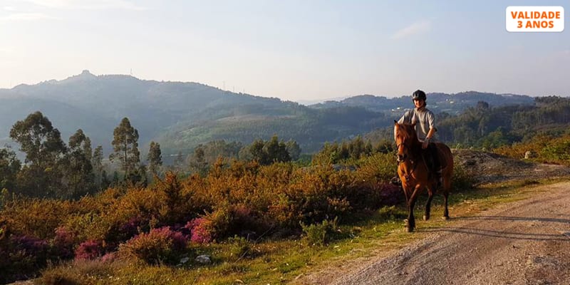 Passeio a Cavalo na Natureza - 1 ou 2 Pessoas | Casa de Vicente - Póvoa de Lanhoso