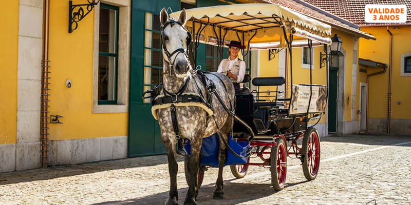 Passeio de Charrete na Zona Histórica de Belém | Criança, Adulto ou a Dois