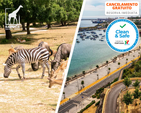 Sinerama Hotel Apartamento - Sines | Estadia em Família em T1 com Opção Badoca Safari Park