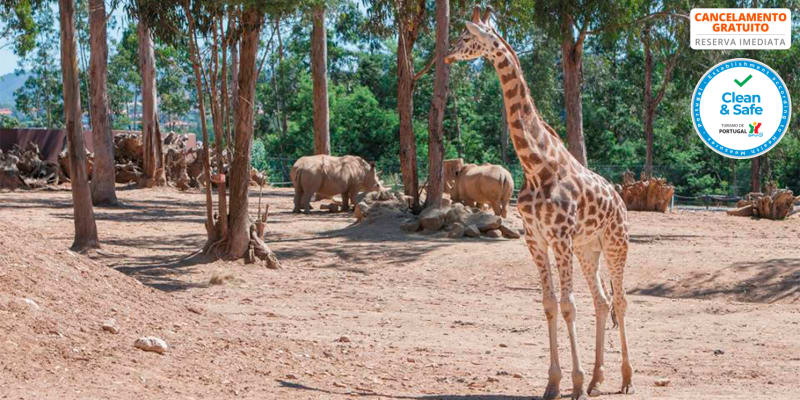 Rubens Hotels Royal Village 4* - Gaia | Estadia c/ Opção Jantar, Comboio Turístico e Zoo Santo Inácio