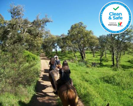 Passeio a Cavalo pelo Campo Alentejano a Dois | 1h a Passo, Trote e Galope!