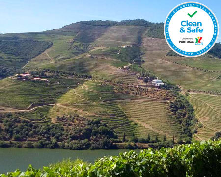 Datas Exclusivas! Passeio no Douro c/ Almoço a Bordo para Dois | Porto-Régua-Porto c/ Descida de Barco
