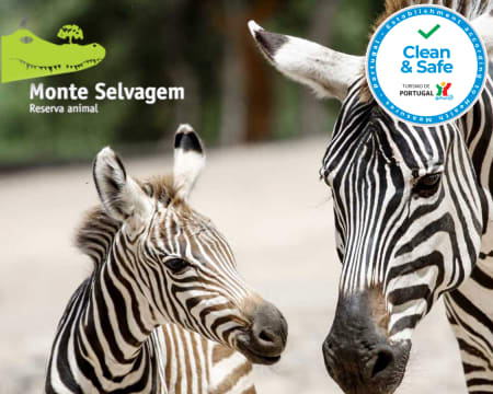 Diversão no Monte Selvagem! Entrada Criança ou Adulto