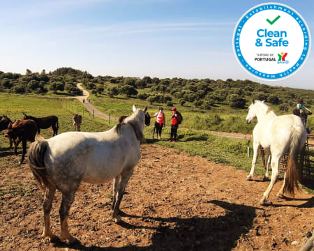 Passeio Pedestre pela Quinta do Pisão e Lagoa Azul para 2 | Portugal Wild Trail Passeio Pedestre pela Quinta do Pisão e Lagoa Azul para 2 | Portugal Wild Trail