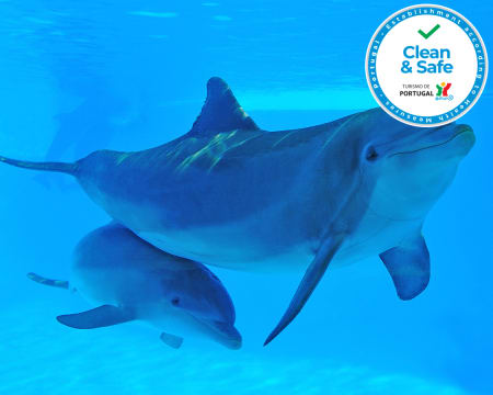 Zoomarine 2021 - Descubra o Mistério dos Oceanos em Família! Algarve