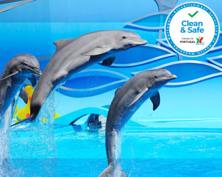 Zoomarine 2021 - Descubra o Mistério dos Oceanos em Família! Algarve