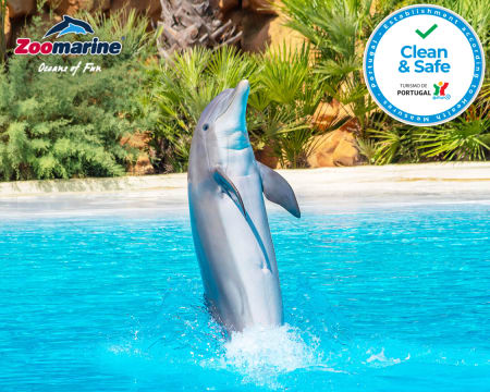 Zoomarine 2021 - Descubra o Mistério dos Oceanos em Família! Algarve