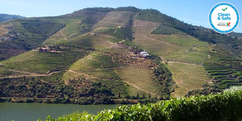 Datas Exclusivas! Passeio no Douro c/ Almoço a Bordo para Dois | Porto-Régua-Porto c/ Descida de Barco