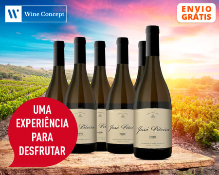 6 Garrafas de Vinho José Piteira DOC Branco 2018 | Entrega Grátis em Casa