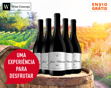 6 Garrafas de Vinho José Piteira DOC Tinto 2016 | Entrega Grátis em Casa