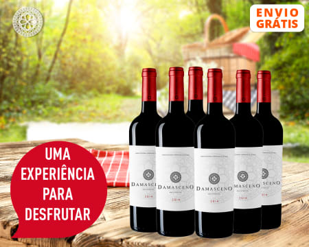 6 Garrafas de Vinho Damasceno Tinto 2015 | Entrega Grátis em Casa