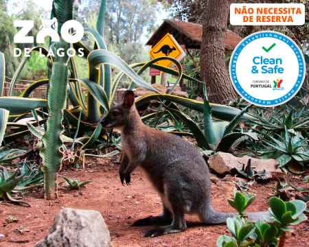 Zoo de Lagos | Aberto Todo o Ano! Entrada de Criança ou Adulto