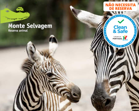Diversão no Monte Selvagem | 1 Dia Inteiro! Entrada Criança ou Adulto