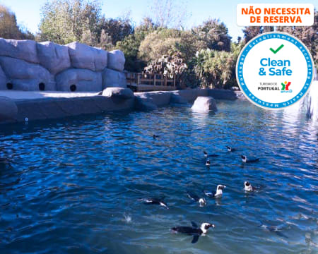 Zoo de Lagos | Aberto Todo o Ano! Entrada de Criança ou Adulto