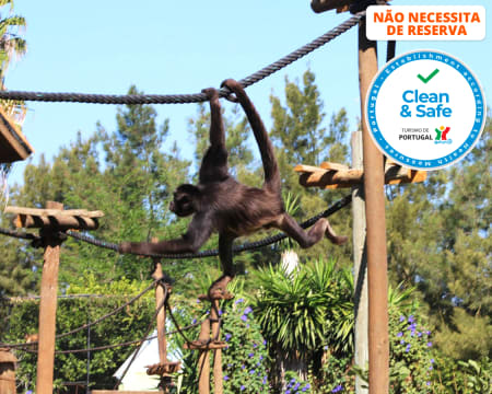 Zoo de Lagos | Aberto Todo o Ano! Entrada de Criança ou Adulto