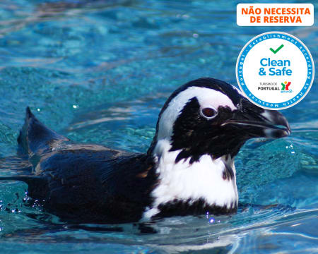 Zoo de Lagos | Aberto Todo o Ano! Entrada de Criança ou Adulto