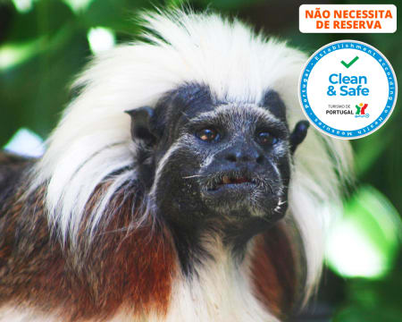 Zoo de Lagos | Aberto Todo o Ano! Entrada de Criança ou Adulto