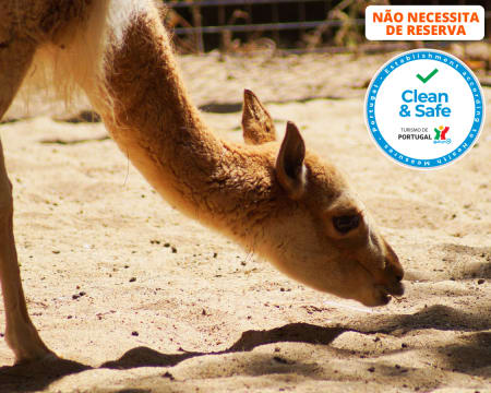 Zoo de Lagos | Aberto Todo o Ano! Entrada de Criança ou Adulto