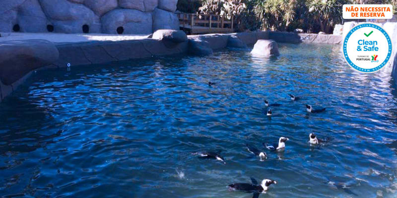 Zoo de Lagos | Aberto Todo o Ano! Entrada de Criança ou Adulto
