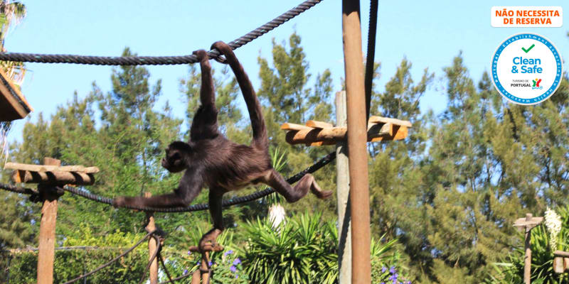 Zoo de Lagos | Aberto Todo o Ano! Entrada de Criança ou Adulto