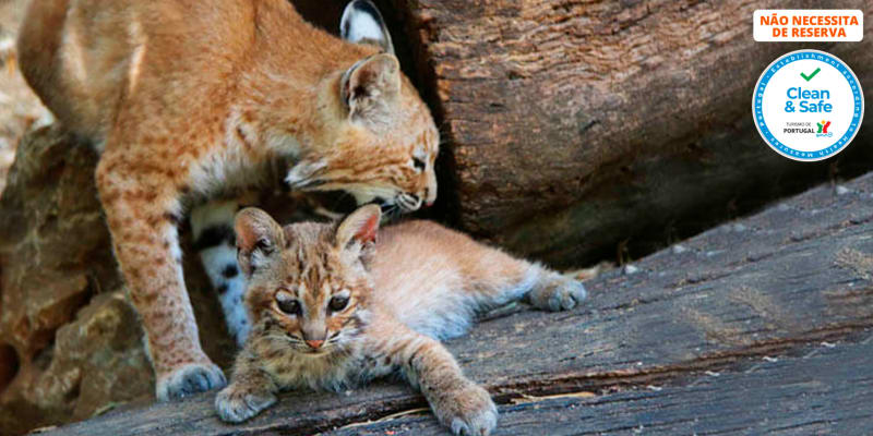 Zoo de Lagos | Aberto Todo o Ano! Entrada de Criança ou Adulto