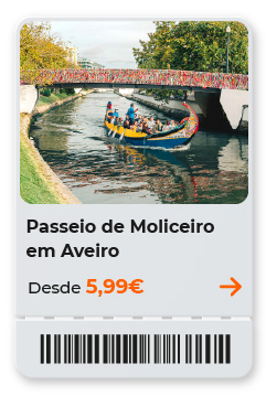 Passeio de Moliceiro em Aveiro - desde 5,99€