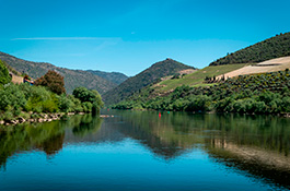 Douro