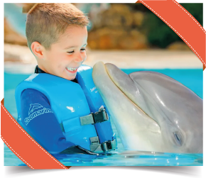 Dolphin Emotions para Dois | Visita + Interacção com Golfinhos no Zoomarine! Algarve