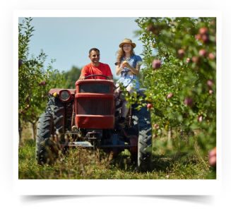 Condução de Tractor com Alfaia   