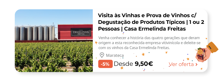 Visita às Vinhas e Prova de Vinhos c/ Degustação de Produtos Típicos | 1 ou 2 Pessoas | Casa Ermelinda Freitas