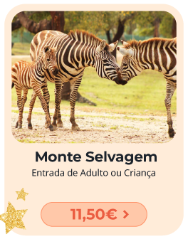 Monte Selvagem 