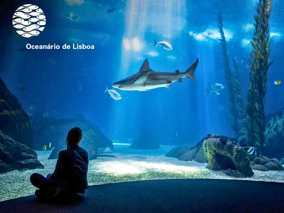 Outono Chegou: Programas Indoor Imperdíveis