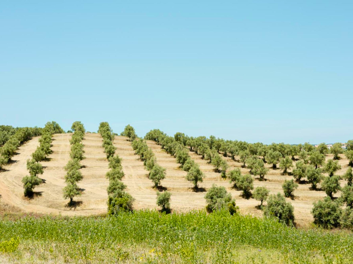  Sleep-Nature-Hotel-no-Alentejo