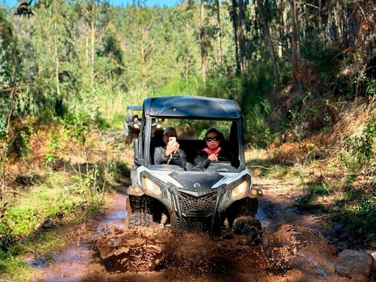 passeio-de-buggy-na-madeira-odisseias