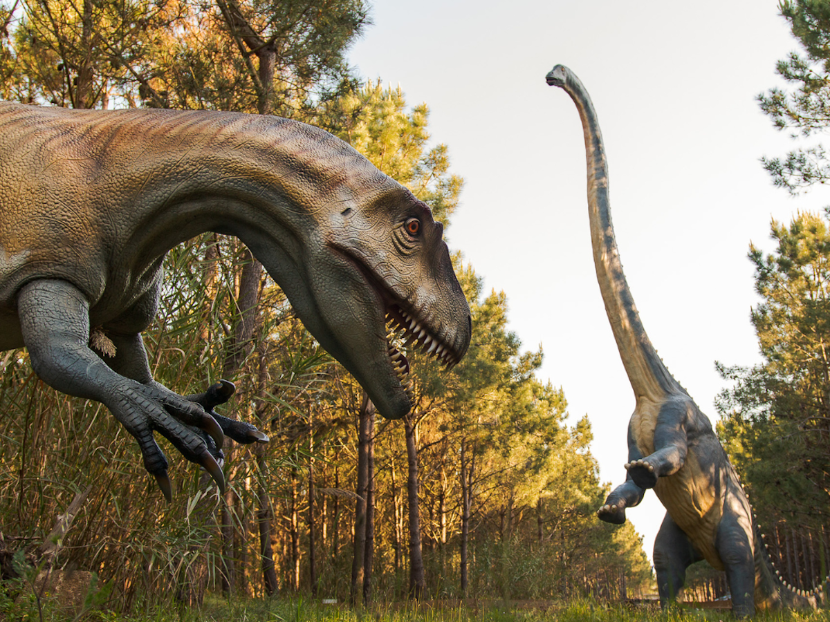 dino parque lourinha vista geral