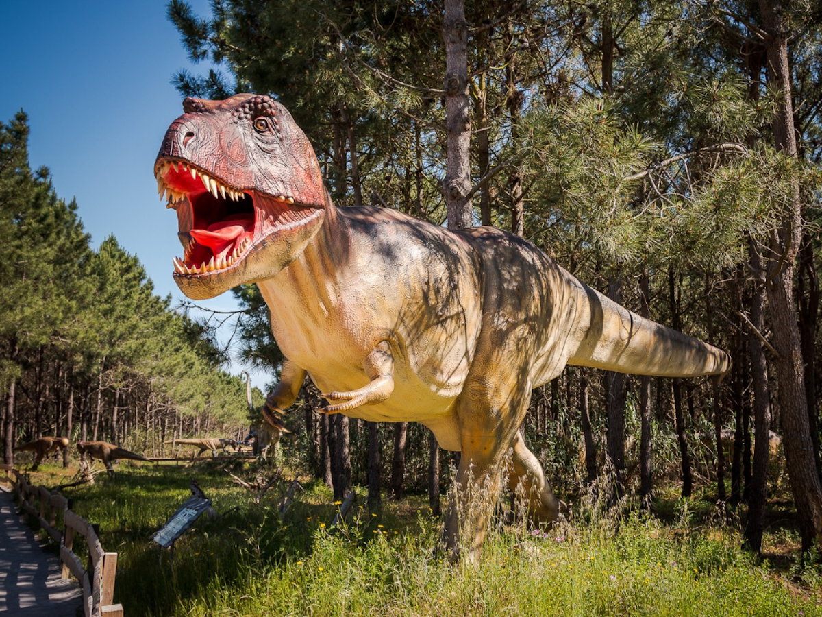 Dino Parque Lourinhã: O Guia Completo para Visitar