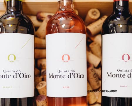 Visita à Vinha & Adegas de Vinificação e de Estágio + Prova 2 Vinhos para Dois | Quinta do Monte d'Oiro Visita à Vinha & Adegas de Vinificação e de Estágio + Prova 2 Vinhos para Dois | Quinta do Monte d'Oiro