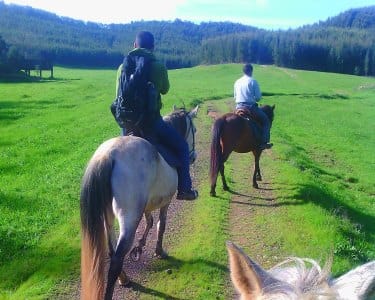 Passeio a Cavalo pelo Campo Alentejano Passeio a Cavalo pelo Campo Alentejano