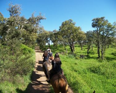 Passeio a Cavalo pelo Campo Alentejano Passeio a Cavalo pelo Campo Alentejano