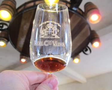 Magic Train em Família + Prova de Vinhos Magic Train em Família + Prova de Vinhos